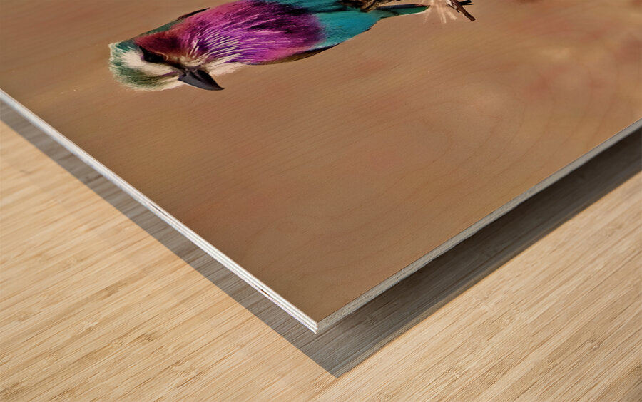 African bird Wood print