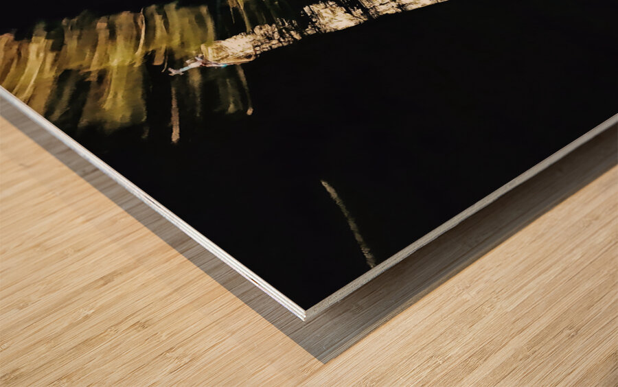 Paris in motion Wood print