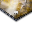 Desert rose Acrylic print