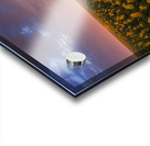 NEW AGE Acrylic print