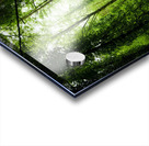 Pure oxygen  Acrylic print
