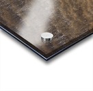 Why Acrylic print