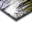 Idyllic ride Acrylic print