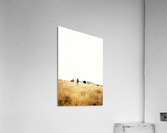 Cow man Acrylic Print