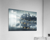 Dark island Acrylic Print