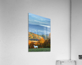 Autumn welcome ! Acrylic Print
