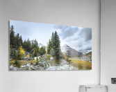 In Nature Acrylic Print