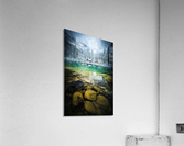 Ohara lodge Acrylic Print