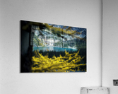 Place in nature Acrylic Print