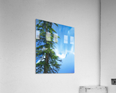 Natural order Acrylic Print