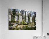 Forest and the trail Acrylic Print