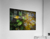 Colorful dance Acrylic Print