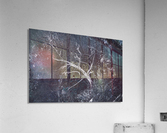 Twisted nature Acrylic Print