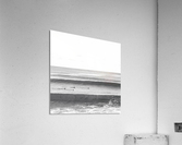 Into the waves Acrylic Print