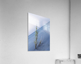 Life approach  Acrylic Print