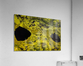 Look from below 02 Acrylic Print