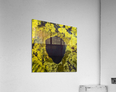 Look from below 03 Acrylic Print
