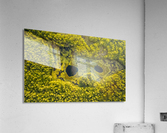 Look from below 01 Impression acrylique