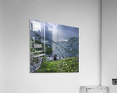Shelter  Acrylic Print
