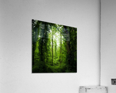 Pure oxygen  Acrylic Print