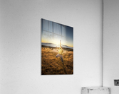 Behind the adventure  Acrylic Print