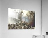Love at first sight Acrylic Print