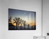 Under cover Acrylic Print