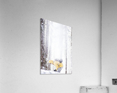 Watch out Acrylic Print