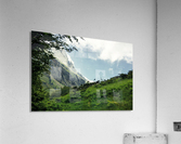 Needle Acrylic Print