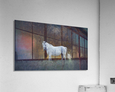 Because, winter is close  Acrylic Print