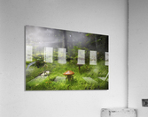 Dreamland Acrylic Print