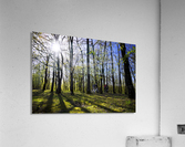 Idyllic ride Acrylic Print