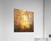 Autumn road Acrylic Print