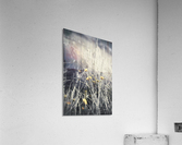 Morning dew Acrylic Print