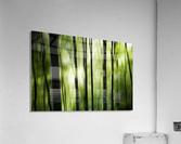 Sliding green  Acrylic Print