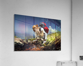 Adventurte on Acrylic Print