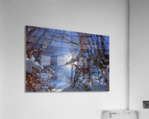 Winter sun Acrylic Print