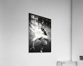 Bit too late Acrylic Print