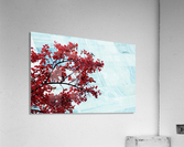 Red flowers Acrylic Print