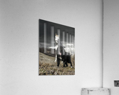 Black and white world Acrylic Print