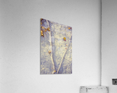 Camouflage  Acrylic Print