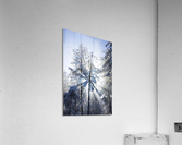 Morning aurel  Acrylic Print