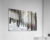 Winter storm Impression acrylique