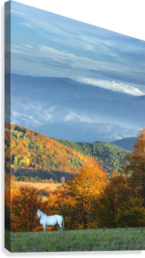 Autumn welcome ! Canvas Print