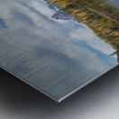 Unparallel beauty  Metal print