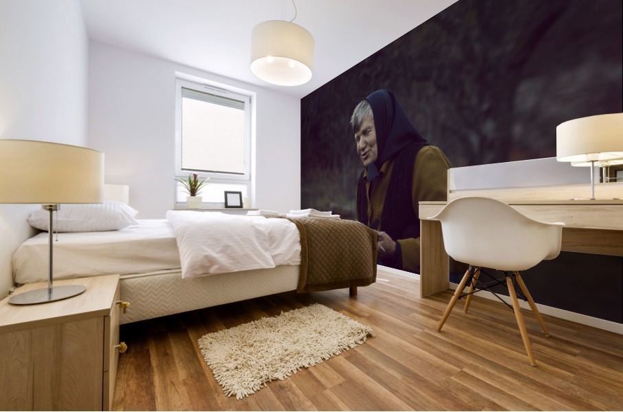 For the winter  Mural print