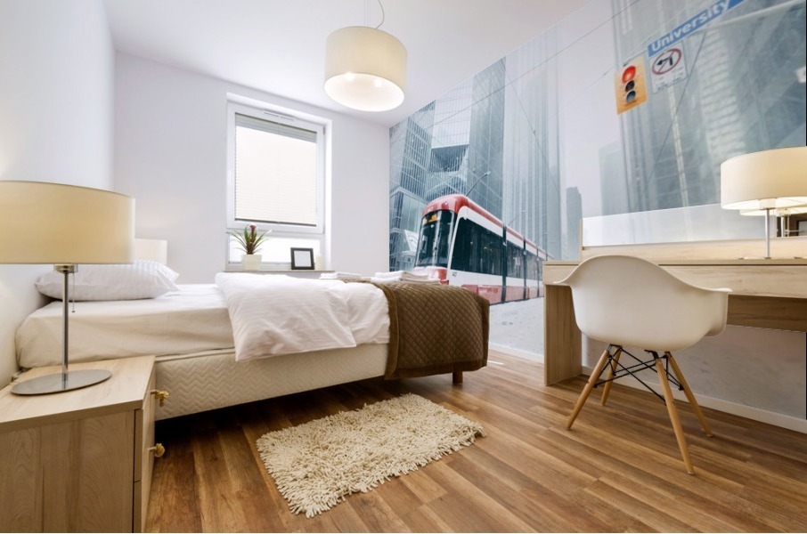 Amazing Toronto  Mural print