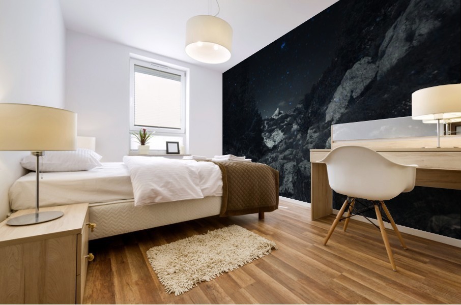 Lost in dreams  Mural print