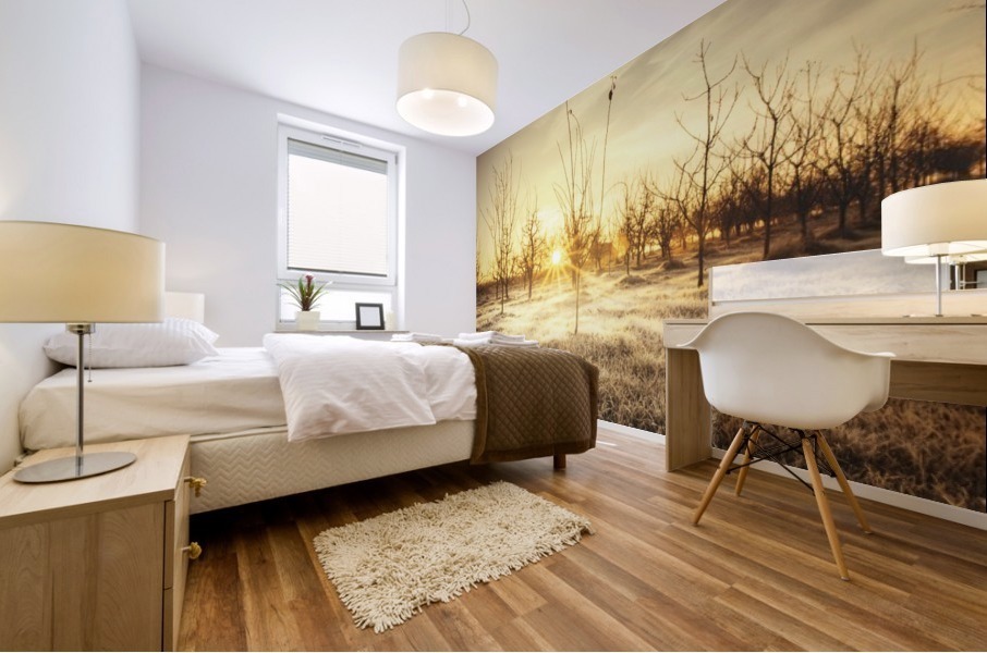 Morning orchard  Mural print