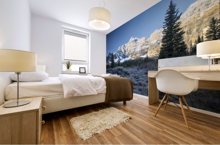 Frosty morning  Mural print